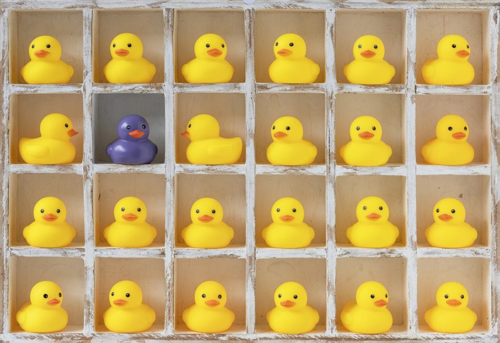 Pigeon hole box with 24 boxes, 23 are filled with small yellow rubber ducks and one has a different coloured purple duck. Concept image representing: standing out from the crowd, being different, individuality, contrasts, variation, choice etc.